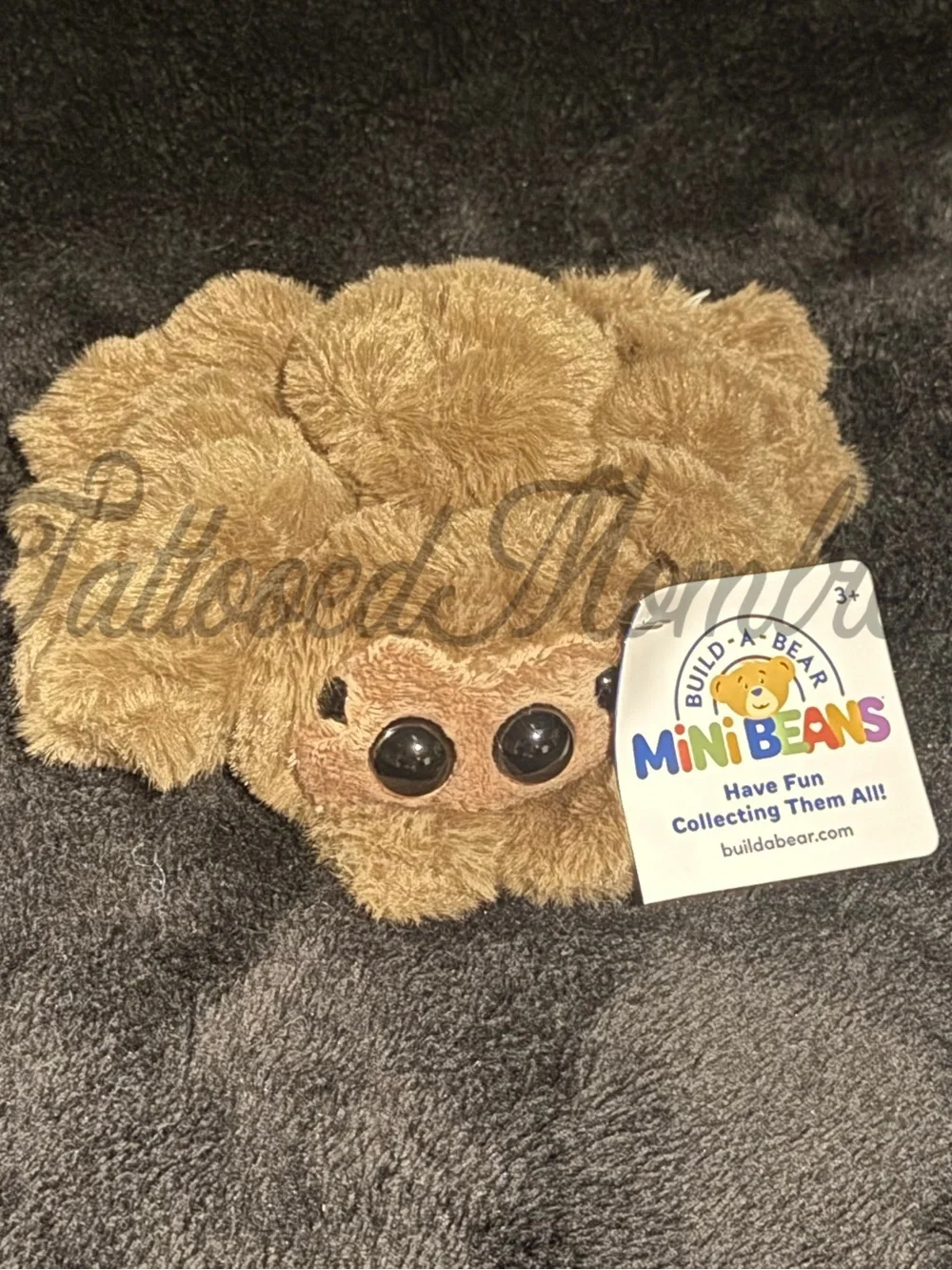Build A Bear Jumping Spider Bundle